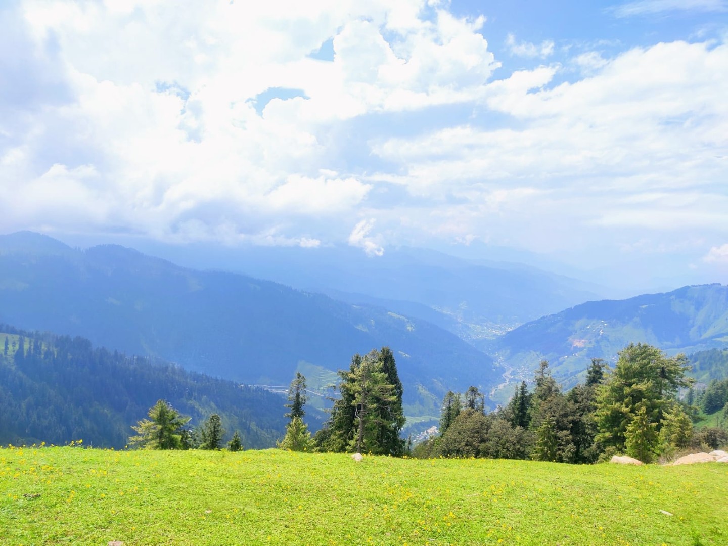 Padri meadow, Bhaderwah